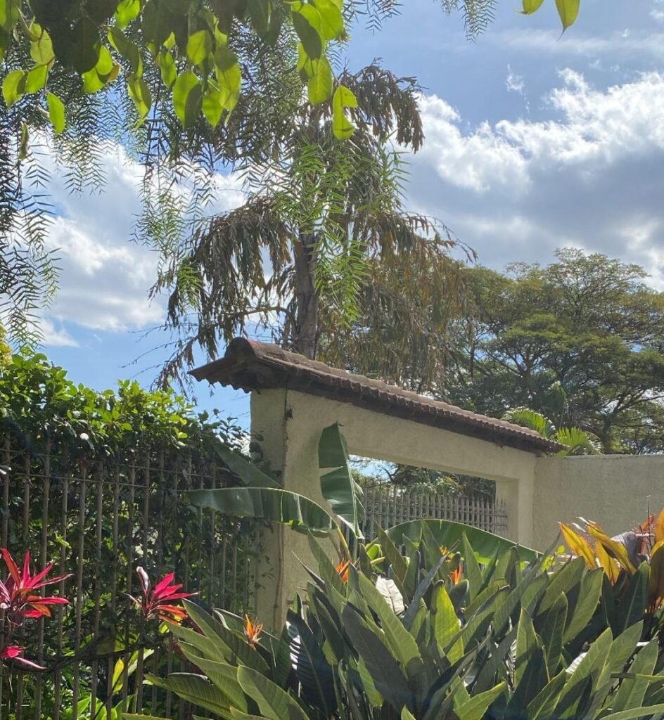 Jardim da Mangabeiras